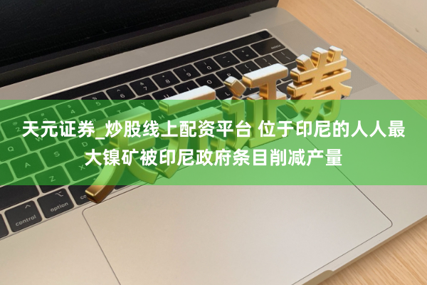 天元证券_炒股线上配资平台 位于印尼的人人最大镍矿被印尼政府条目削减产量